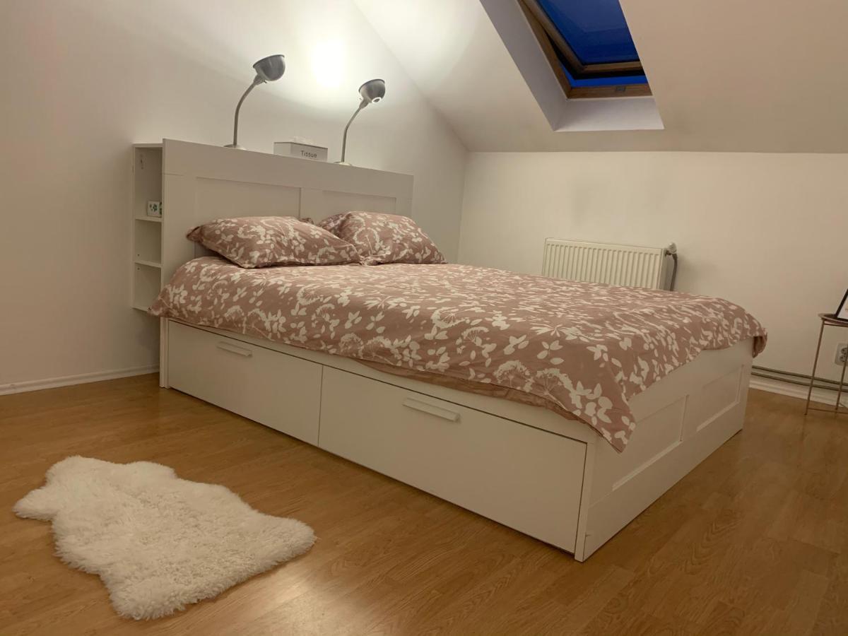Skylight Loft Apartment Cluj-Napoca