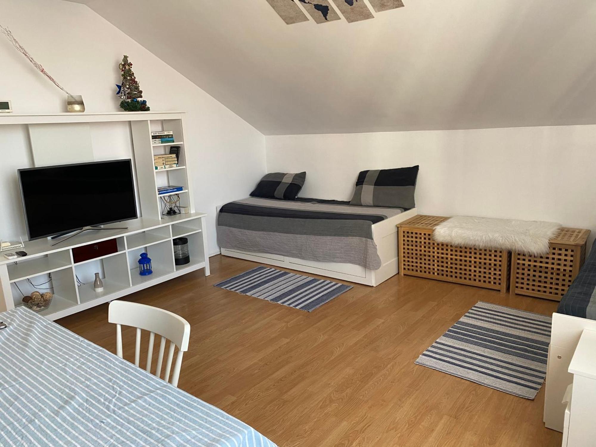Skylight Loft Apartment